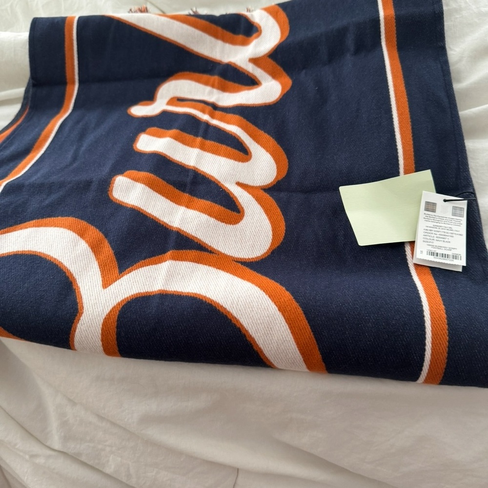 Burberry Navy and Orange Scarf